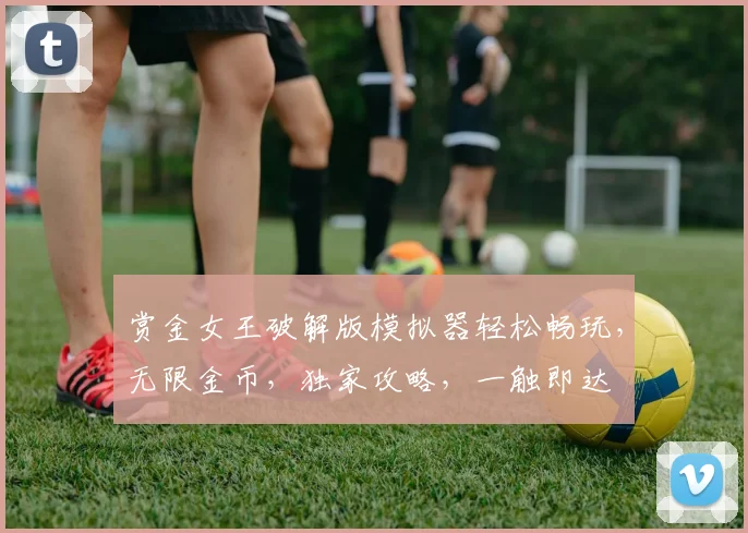 赏金女王破解版模拟器轻松畅玩，无限金币，独家攻略，一触即达
